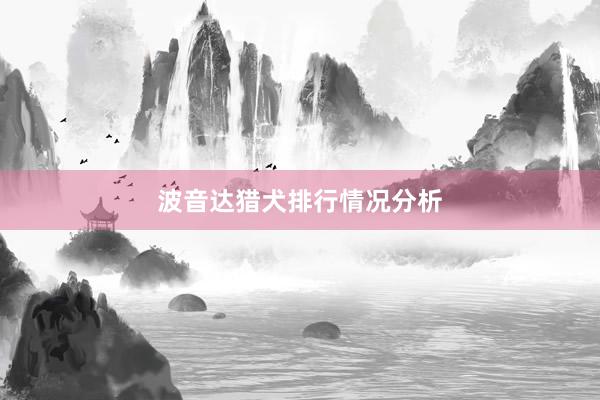 波音达猎犬排行情况分析